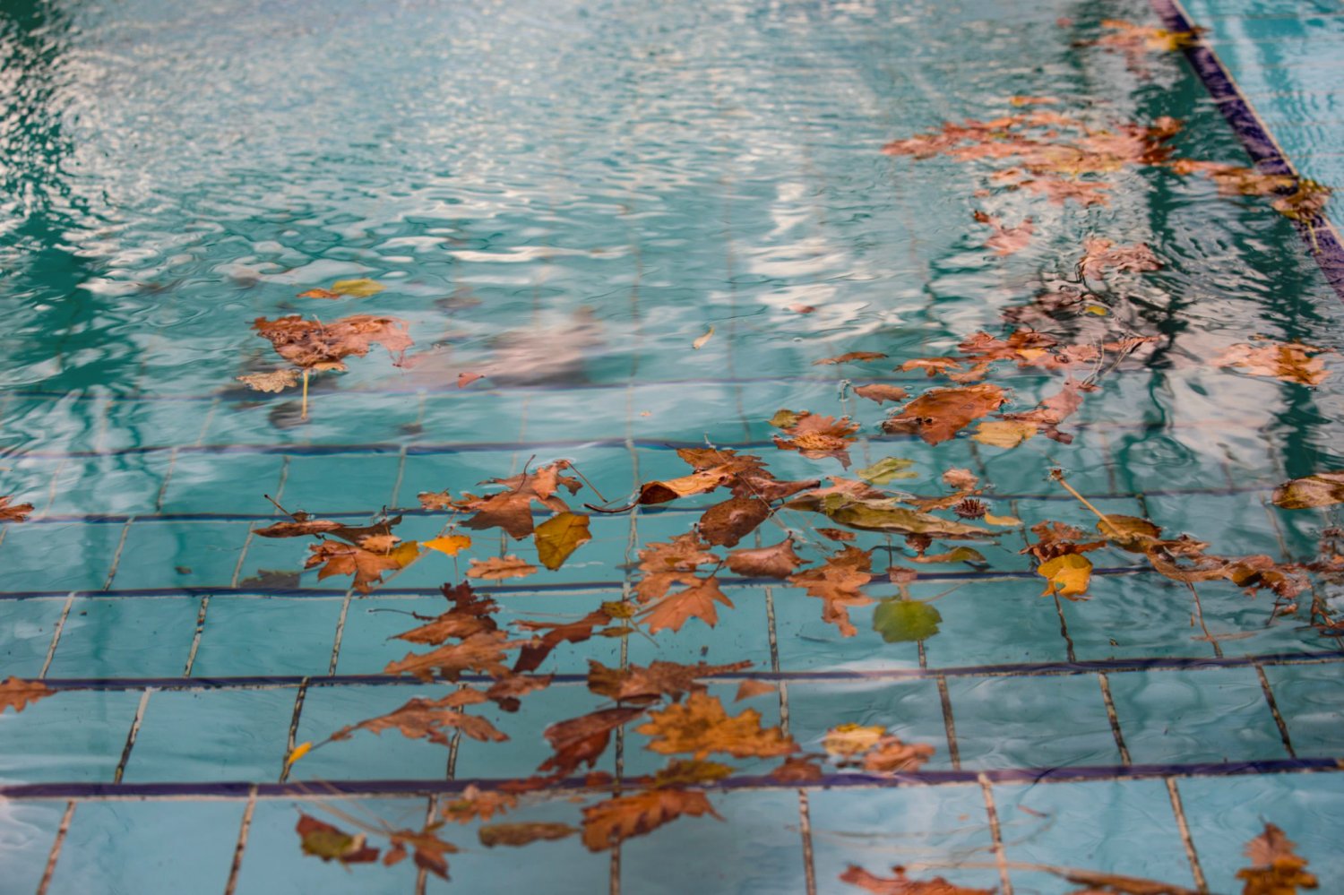 Mit tesznek az őszi falevelek a medencével?