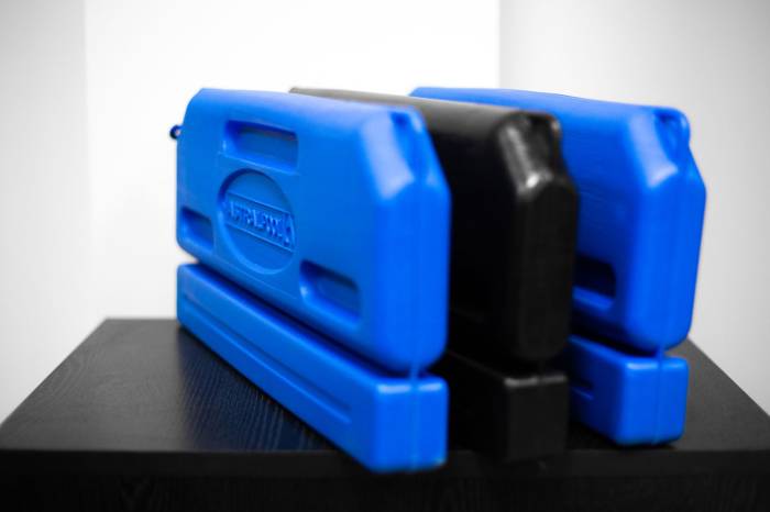 Fagytest \'Astralpool\' 50 cm