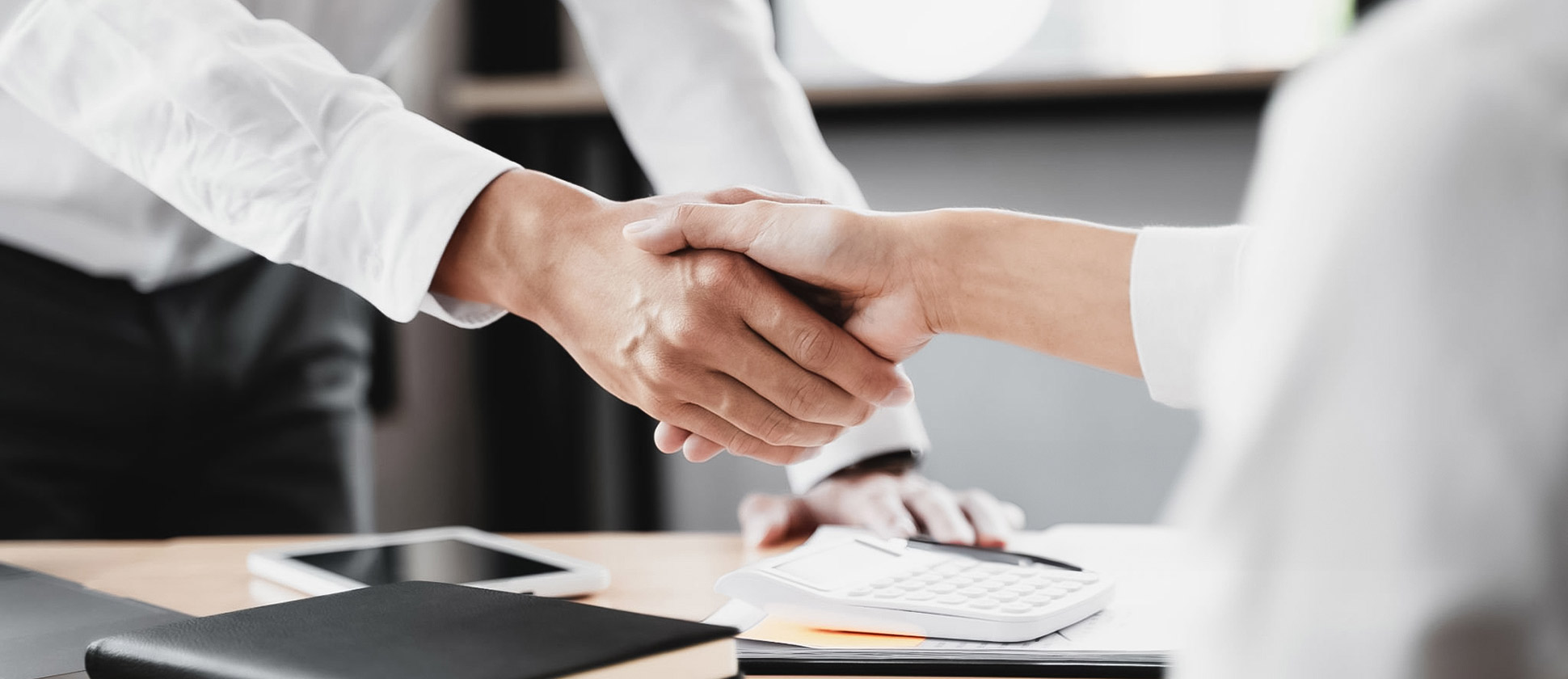 Fluidra KEREX - Karrier