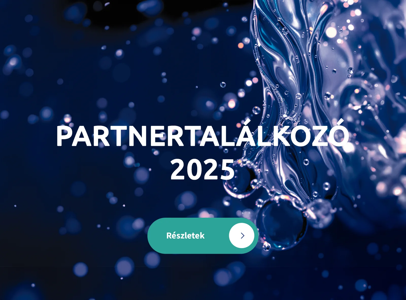 Fluidra Magyarország - Partnertalálkozó 2025